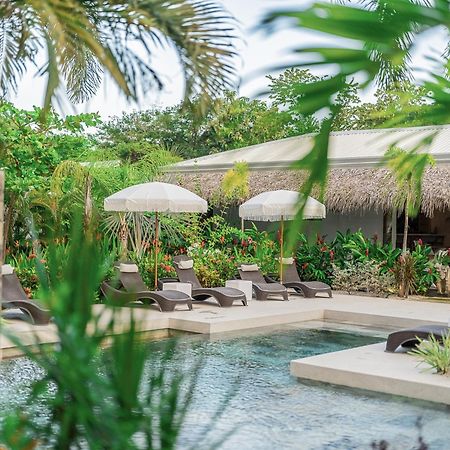Les Voiles Blanches - Luxury Lodge&SPA Tamarindo Extérieur photo