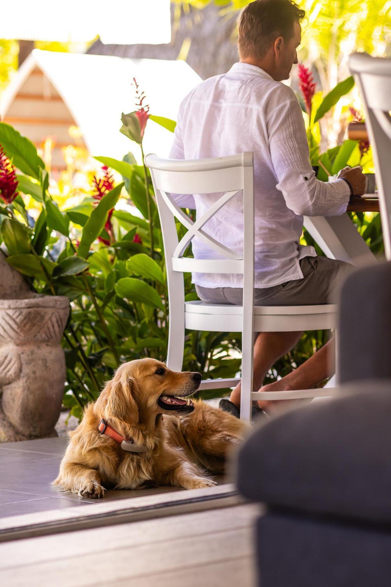 Les Voiles Blanches - Luxury Lodge&SPA Tamarindo Extérieur photo