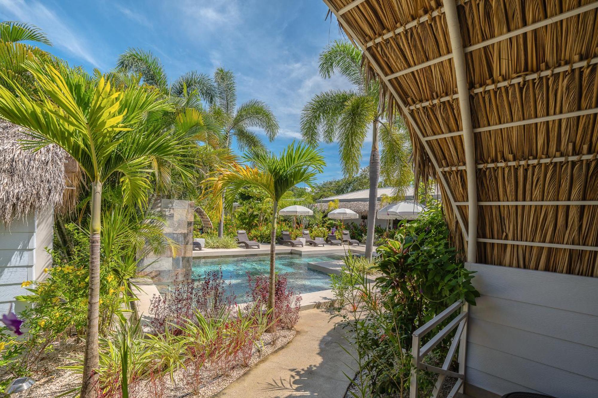 Les Voiles Blanches - Luxury Lodge&SPA Tamarindo Chambre photo